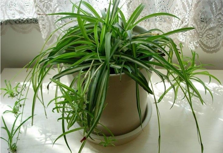 �Ϸ��k�����b��