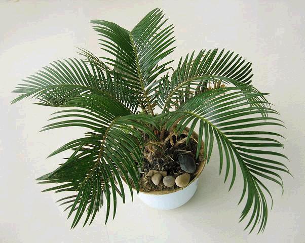 �Ϸ��k�����b��