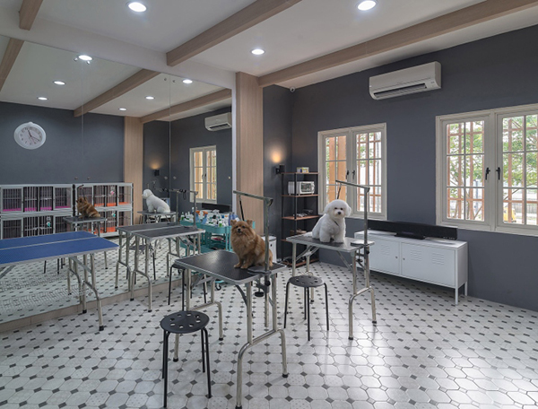 �����^������b��ע�����(xi��ng)��